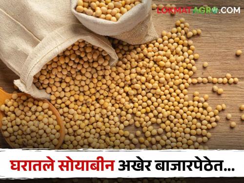 Soybean in Market: At the start of Kharipa, the soybeans kept at home came to the market; Preparations for Kharipa begin | खरिपाच्या तोंडावर घरात ठेवलेले सोयाबीन आले बाजारपेठेत; खरिपाची तयारी सुरु