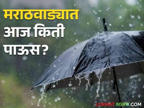 Marathwada Rain Rest after heavy rain where and how much rain will fall in Marathwada Vidarbha today? | Marathwada Rain : मुसळधार पावसानंतर विश्रांती, मराठवाडा विदर्भात आज कुठे अन् किती पडणार पाऊस?