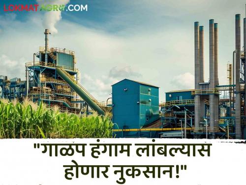 Sugarcane Factory Start sugar factory in time Otherwise farmers along with the factories will suffer | Sugarcane Factory : "साखर कारखाने वेळेत सुरू करा; अन्यथा, कारखान्यांसहित शेतकऱ्यांचे होणार नुकसान!"