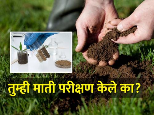 Is your soil healthy? Check with a soil test | तुमची जमीन निरोगी आहे का? तपासा माती परीक्षणातून