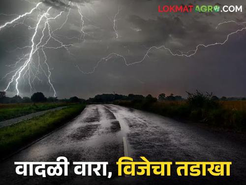 Weather Update: Havoc of rain with stormy wind, 3 killed, animals also killed, where is the damage? | Weather Update: वादळी वाऱ्यासह पावसाचा कहर, ३ ठार, जनावरेही दगावली, कुठे काय नुकसान?