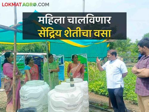 Latest News Ahmednagar district self-help group promoting organic farming see details | Agriculture News : सेंद्रिय शेतीला संजीवनी देणारा बचत गट, विविध प्रकारच्या अर्काची निर्मिती