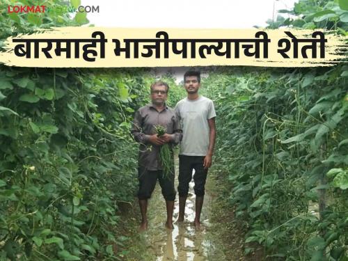 Latest News Perennial vegetable farming with income of lakhs from fisheries, success story of Chandrapur farmer  | Vegetable Farming : बारमाही भाजीपाला शेतीसोबत मत्स्यव्यवसायातून लाखोंचं उत्पन्न, चंद्रपूरच्या शेतकऱ्याची यशोगाथा 