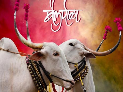 Now the bailpola festival is being celebrated without the bullock; What would be the reason? | आता बैलाविनाच साजरा होतोय बैलपोळा; काय असेल कारण?