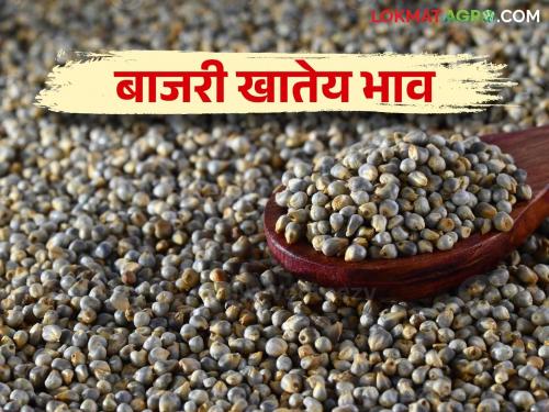 Bajari Bajar Bhav: With the arrival of winter, the demand and price of millet also increased | Bajari Bajar Bhav : आली थंडी बाजरीच्या मागणीत व दरातही झाली वाढ