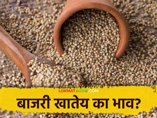 Bajari Market Price: Arrival of millet is happening everywhere in the state; Read what rates are available | Bajari Market Price : राज्यात सर्वत्र होतेय बाजरीची आवक; वाचा काय मिळतोय दर