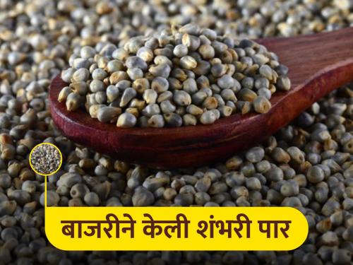 Gavran pearl millet market bajari price crossed the hundred rupees per kilo in Beed market | बीडच्या बाजारात गावरान बाजरीने ओलांडली शंभरी