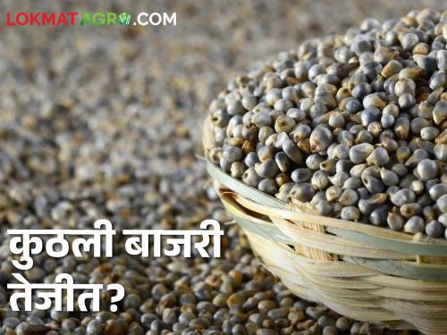 Latest News Bajari Market Highest arrival of Mahiko bajri in Pune, see today market price | Bajari Market : पुण्यात महिको बाजरीची सर्वाधिक आवक, कुठल्या बाजरीला काय भाव? 