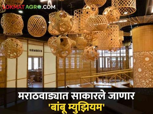 First Bamboo Museum to be constructed in Marathwada's Takli; Including fruit trees, medicinal plants | मराठवाड्याच्या टाकळीत साकारले जाणार पहिले बांबू म्युझियम; फळझाडे, औषधी वनस्पतींचाही समावेश