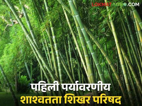 Atal Bamboo Samriddhi Yojana: Urban Forest Hub to be held in the state! | Atal Bamboo Samriddhi Yojana : राज्यात होणार अर्बन फॉरेस्ट हब !