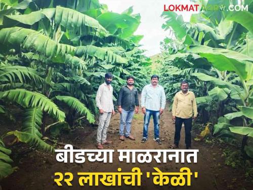 Banana Farming Success Story : Young farmers are doing banana farming in hilly areas; Income of 22 lakhs will be obtained from three acres | Banana Farming Success Story : तरुण शेतकरी करतोय डोंगराळ भागात केळीची शेती; तीन एकरांत मिळणार २२ लाखांचे उत्पन्न