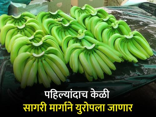 First container of banana left for Europe from Maharashtra | केळीचा पहिला कंटेनर महाराष्ट्रातून युरोपला रवाना