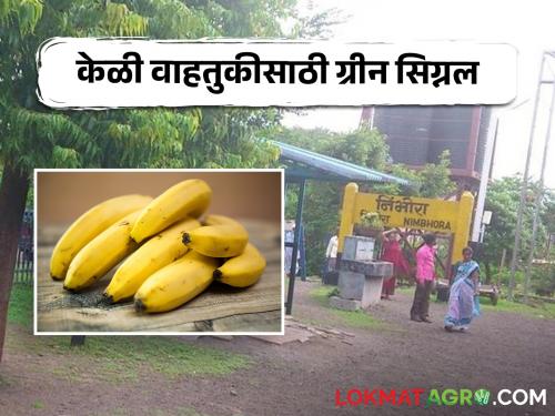 Latest News Banana transportation allowed from Nimbora railway station from June 5 | Banana Transport : केळी वाहतुकीला परवानगी, निंभोरा रेल्वेस्थानकावरून 5 जूनपासून वाहतूक