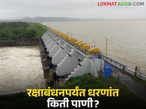 Latest News Maharashtra Dam Water level today Water storage in dams of maharashtra on raksha bandhan | Maharashtra Dam : रक्षाबंधनपर्यंत राज्यातील प्रमुख धरणं किती टक्के भरली, वाचा सविस्तर 