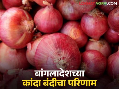Who benefits from Bangladesh's ban; Will onion producers be hit this year too? Read in detail | बांगलादेशच्या बंदीचा फायदा कुणाला; कांदा उत्पादकांना यंदाही बसणार का फटका? वाचा सविस्तर