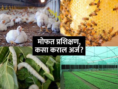 Free training for youth for agribusiness, where to apply? | शेतीपूरक व्यवसायासाठी युवकांना मोफत प्रशिक्षण, कुठे कराल अर्ज?