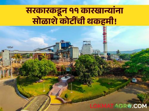 Sugar Factory: Relief for sugar factories from the state government! Sixteen hundred crores guarantee for 11 factories! | Sugar Factory : राज्य सरकारकडून साखर कारखान्यांना दिलासा! ११ कारखान्यांना सोळाशे कोटींची थकहमी!