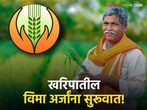 Crop Insurance: Farmers, start applying for crop insurance; Get your Farmer ID! | Crop Insurance : शेतकऱ्यांनो पीक विमा अर्जाला सुरूवात; फार्मर आयडी काढून घ्या! ही आहे शेवटची मुदत