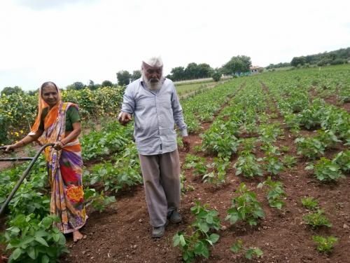 this kharif use BBF for sowing machine for better yield | कोरडवाहू शेतीचं आधुनिक तंत्र, पेरणीला वापरा बी.बी.एफ. यंत्र