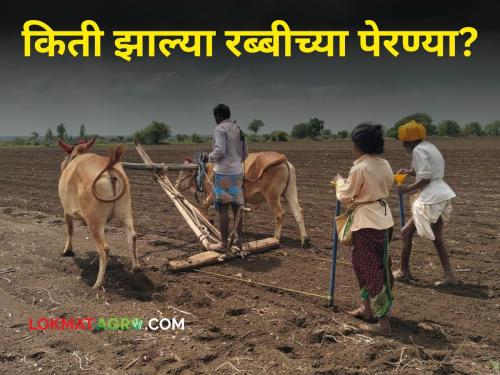 Rabi Sowing How many rabi sowings have been done in the state so far? | Rabi Sowing : गहू, ज्वारी, मका अन् हरभरा! राज्यात आत्तापर्यंत किती झाल्या रब्बीच्या पेरण्या?