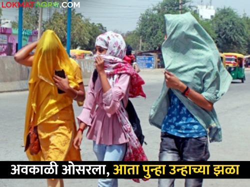 todays temperature: How will the temperature be after unseasonal rain in the state? | todays temperature: राज्यात अवकाळी पावसानंतर कसे राहणार तापमान?