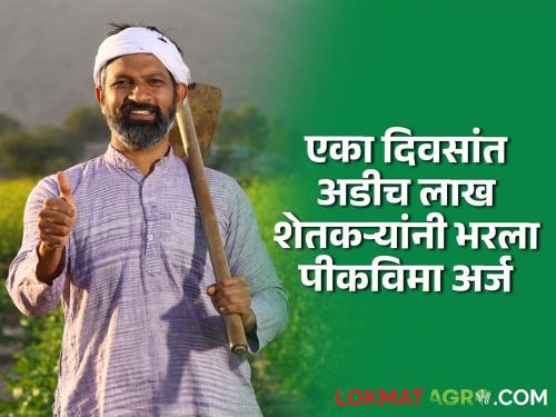 Crop Insurance maharashtra Two and a half lakh farmers filled crop insurance application in one day; | Crop Insurance : एका दिवसांत अडीच लाख शेतकऱ्यांनी भरला पीकविमा अर्ज; अंतिम मुदत कधी?