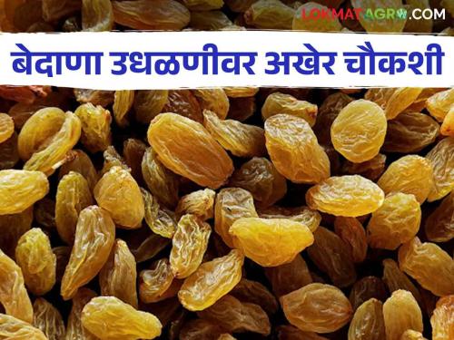 Order to inquiry of grape raisin auction issue in the Tasgaon Agricultural Produce Market Committee | तासगाव कृषी उत्पन्न बाजार समितीत बेदाण्याची उधळणीला चौकशीचे आदेश