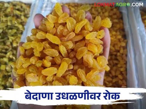 The assistant registrar will take a serious action on current grape raisins auctions in tasgaon market | बेदाणा उधळणीची गंभीर दखल सहायक निबंधक करणार बेदाणा सौद्यांची पाहणी