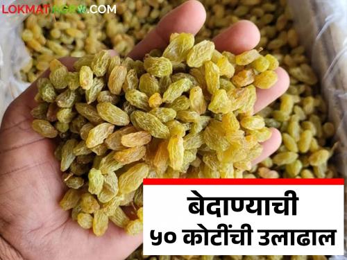 Bedana Market : Raisins farmers are rich this year; Market price have doubled | Bedana Market : बेदाणा उत्पादक शेतकरी यंदा होणार मालामाल; दरात झाली दुपटीने वाढ