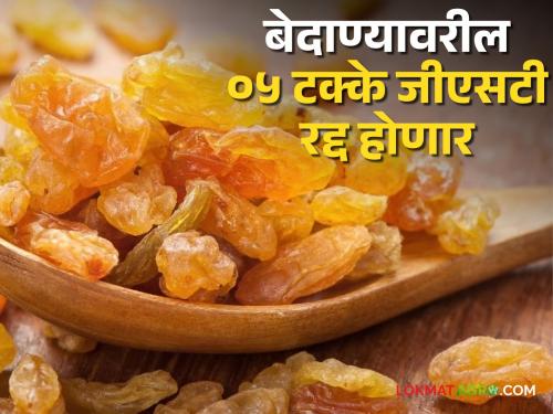 Latest News Follow up with Center to cancel GST on Raisins, read details  | Agriculture News : बेदाण्यावरील जीएसटी रद्द करण्यासाठी केंद्राकडे पाठपुरावा, वाचा सविस्तर 