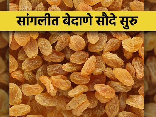 Currant price raisins in sangli is Rs 100 to 180 per kg | सांगलीत बेदाण्याला प्रतिकिलो १०० ते १८० रुपये भाव