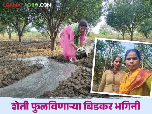 Women farmer story : Amravati farmer Bidkar sisters successful story read in details | Women farmer story : महेंद्रीच्या घनदाट जंगलात शेती फुलविणाऱ्या कृषिकन्या बिडकर भगिनींचा संघर्षमय प्रवास