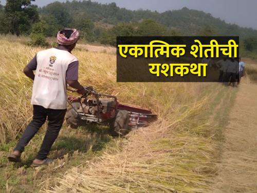 integrated farming success story of tribal village Beherampada | आदिवासी बेहेडपाड्याने एकात्मिक शेतीतून प्रगती केली, त्याची गोष्ट