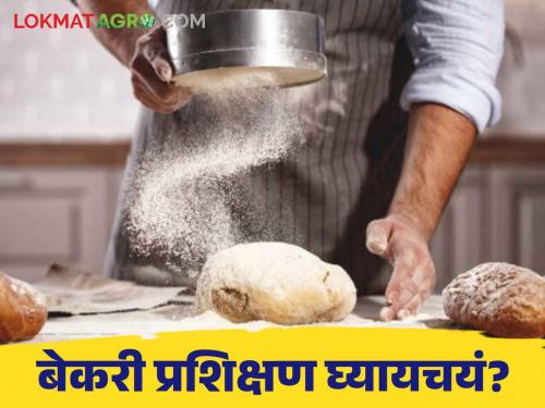 Latest news Baking Course Opportunity to take up bakery training at Bangalore University of Agricultural Sciences, read complete process | Baking Course : बंगलोर कृषी विज्ञान विद्यापीठात बेकरी प्रशिक्षण घ्यायची संधी, वाचा संपूर्ण प्रक्रिया