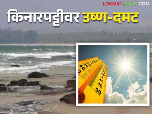 Maharashtra weather update: Coastal hot-humid, heavy rain alert for Vidarbhat districts | Maharashtra weather Update: किनारपट्टीवर उष्ण- दमट, विदर्भात या जिल्हयांना मुसळधार पावसाचा अलर्ट