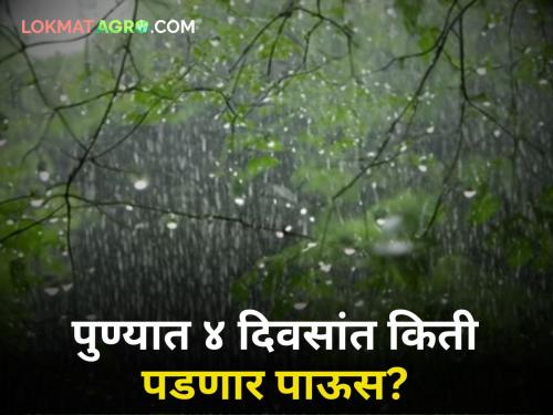 Pune Weather: Pune districts will receive 'so much' rain in the next four days! What are the warnings? | Pune Weather : पुणे जिल्ह्यांत येणाऱ्या चार दिवसांत पडणार 'इतका' पाऊस! काय आहेत इशारे?