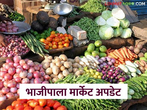 Latest news bhajipala market vegetable market has increased, see actual market prices of vegetables | भाजीपाल्याची आवक घटली, बाजार वाढले, पालेभाज्यांना काय दर मिळतोय? 