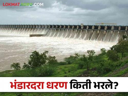 Latest News Bhandardara Dam 30 percent water storage see details | Bhandardara Dam : पाऊस ओसरला, भंडारदरा धरण 30 टक्के भरले, आवक सुरूच!