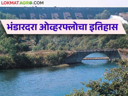 Bhandardara Dam : Bhandardara overflowed for the eighth time in 44 years before August 15 | Bhandardara Dam : भंडारदरा ४४ वर्षांत आठव्यांदा झाले १५ ऑगस्टपूर्वी ओव्हरफ्लो