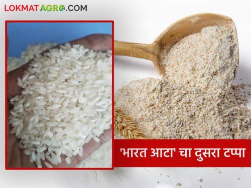 The second phase of Bharat Ata will start with wheat flour being sold at Rs 30 per kg and rice at Rs 34 per kg | Bharat Atta : भारत आटाच्या दुसऱ्या टप्प्याची सुरुवात गव्हाचे पीठ ३० रुपये तर तांदूळ ३४ रुपये किलोने विक्री