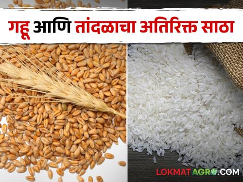 Latest News Sale of wheat and rice through Bharat Brand, scheme extended till June 30 | Bharat Brand : भारत ब्रँडच्या माध्यमातून गहू आणि तांदूळ विक्री, योजनेला 30 जूनपर्यंत मुदतवाढ 