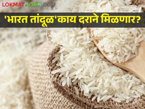 Retail sale of rice to consumers will start under the brand 'Bharat Rice' | 'भारत तांदूळ' या ब्रँड अंतर्गत ग्राहकांना तांदळाची किरकोळ विक्री सुरू होणार