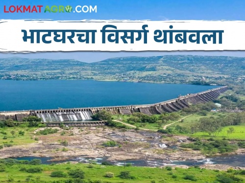 Stopped release of water from Bhatghar Dam | Bhatghar Dam भाटघर धरणामधील पाण्याचा विसर्ग थांबवला