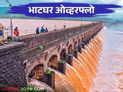 The 45 automatic gates of this British-era dam opened up dam way to 100 percent full | या ब्रिटिशकालीन धरणाचे ४५ स्वयंचलित दरवाजे उघडले पाणीसाठा शंभरीकडे