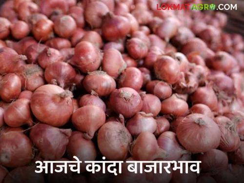 Kanda Bajarbhav red onion market price in Bhusawal market todays Onion rate | Kanda Bajarbhav : भुसावळ बाजारात लाल कांद्याला काय भाव मिळाला? वाचा आजचे बाजारभाव