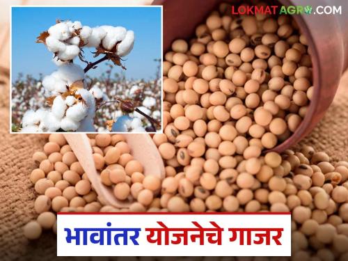 Bhavantar Yojana: Government's Bhavantar Yojana for farmers Read in detail | Bhavantar Yojana : शासनाची भावांतर योजना शेतकऱ्यांसाठी शिमगा वाचा सविस्तर