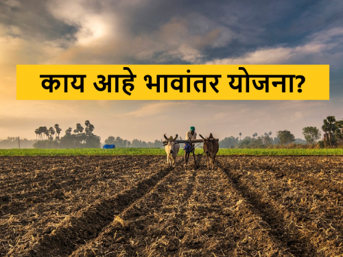 Latest News Farmers will benefit if Bhavantar Yojana is implemented! What is Bhavantar Yaejana?  | Agriculture News : भावांतर योजना लागू झाल्यास शेतकऱ्यांना फायदा! काय आहे भावांतर याेजना? 