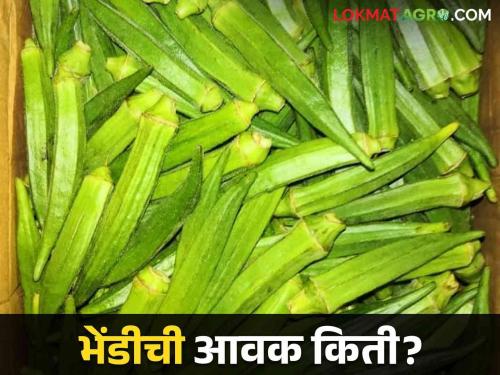 Okra Market: Okra booming in Murbad market! | Okra Market : मुरबाड बाजारात भेंडी तेजीत!