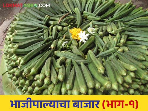 Bhajipala Bajarbhav: How does okra costing Rs 20 become Rs 100 per kg? read in detail | Bhajipala Bajarbhav: २० रुपयांची भेंडी १०० रुपये किलो कशी होते? वाचा सविस्तर