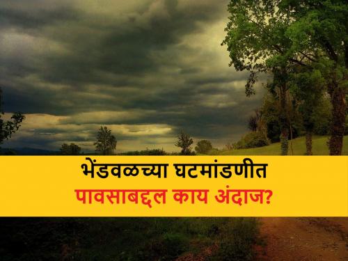 Bhendval ghatmandani monsoon prediction by traditional way, how will be monsoon for this year | भेंडवळच्या घटमांडणीत यंदा पावसाबद्दल आलं असं भाकित? शेतकऱ्यांच्या काळजीचं की फायद्याचं?